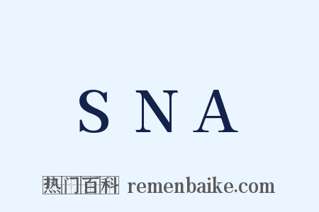 SNA是什么意思的图片